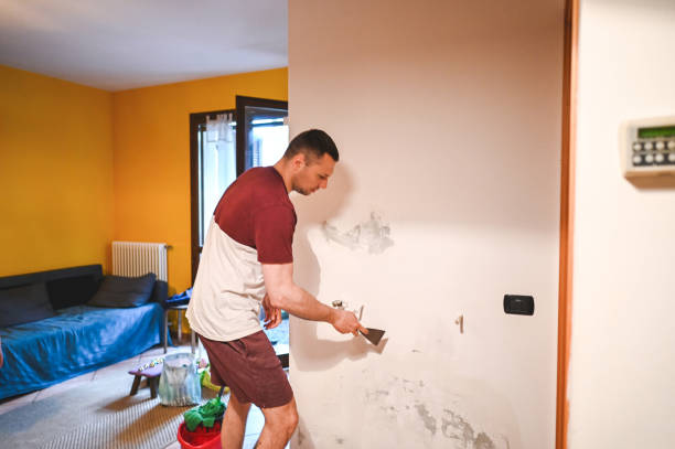 Best Commercial Mold Removal  in Bard College, NY